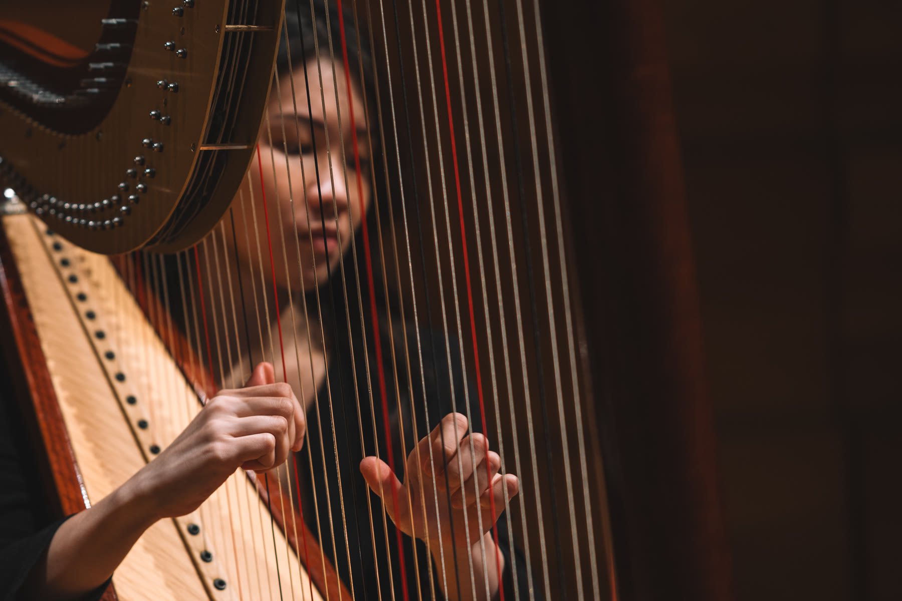 NTUSO harpist playing during a performance